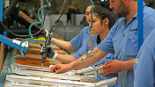 turkey's engine for growth